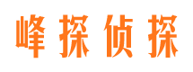 爱辉市私家侦探